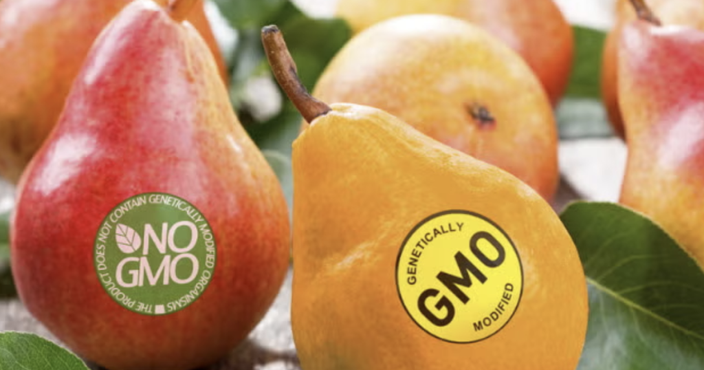 Alimentos Transgénicos